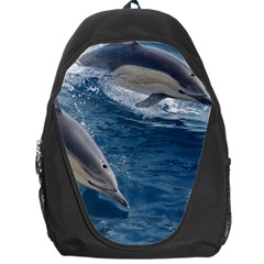 Dolphin 4 Backpack Bag by trendistuff