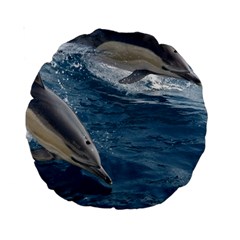 Dolphin 4 Standard 15  Premium Round Cushions by trendistuff