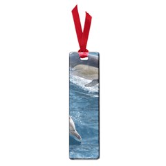 Dolphin 4 Small Book Marks by trendistuff