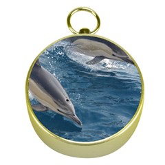 Dolphin 4 Gold Compasses by trendistuff