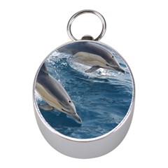 Dolphin 4 Mini Silver Compasses by trendistuff