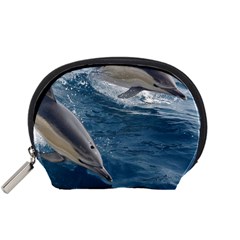 Dolphin 4 Accessory Pouches (small) 