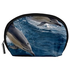 Dolphin 4 Accessory Pouches (large) 