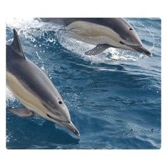 Dolphin 4 Double Sided Flano Blanket (small)  by trendistuff