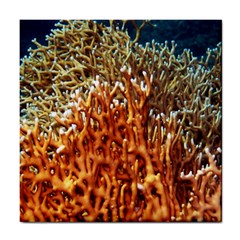 Fire Coral 1 Tile Coasters by trendistuff