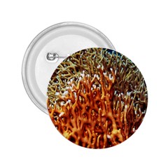 Fire Coral 1 2 25  Buttons by trendistuff