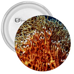 Fire Coral 1 3  Buttons by trendistuff