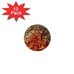 Fire Coral 1 1  Mini Buttons (10 Pack)  by trendistuff