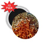 FIRE CORAL 1 2.25  Magnets (10 pack)  Front