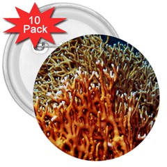 Fire Coral 1 3  Buttons (10 Pack)  by trendistuff