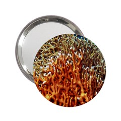 Fire Coral 1 2 25  Handbag Mirrors by trendistuff