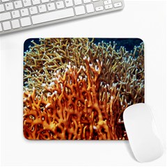 Fire Coral 1 Large Mousepads by trendistuff