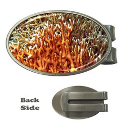 Fire Coral 1 Money Clips (oval)  by trendistuff