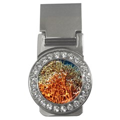 Fire Coral 1 Money Clips (cz)  by trendistuff