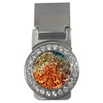 FIRE CORAL 1 Money Clips (CZ)  Front