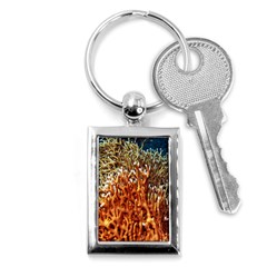 Fire Coral 1 Key Chains (rectangle)  by trendistuff