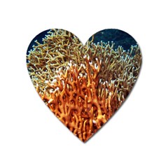 Fire Coral 1 Heart Magnet by trendistuff