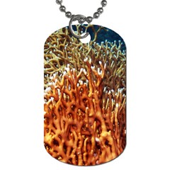 Fire Coral 1 Dog Tag (one Side) by trendistuff