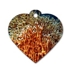 Fire Coral 1 Dog Tag Heart (one Side)