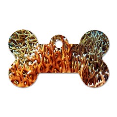 Fire Coral 1 Dog Tag Bone (one Side) by trendistuff