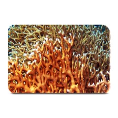 Fire Coral 1 Plate Mats by trendistuff