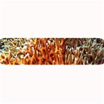 FIRE CORAL 1 Large Bar Mats 32 x8.5  Bar Mat