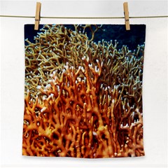 Fire Coral 1 Face Towel by trendistuff