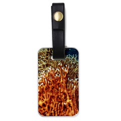 Fire Coral 1 Luggage Tags (one Side)  by trendistuff