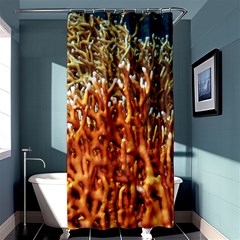 Fire Coral 1 Shower Curtain 36  X 72  (stall)  by trendistuff