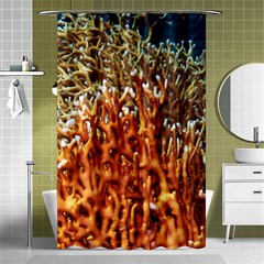 Fire Coral 1 Shower Curtain 48  X 72  (small)  by trendistuff