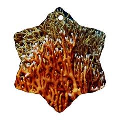 Fire Coral 1 Ornament (snowflake) by trendistuff