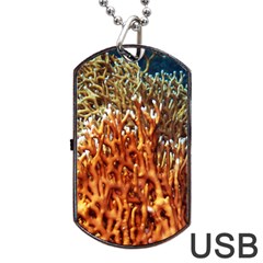 Fire Coral 1 Dog Tag Usb Flash (one Side) by trendistuff