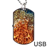 FIRE CORAL 1 Dog Tag USB Flash (Two Sides) Front