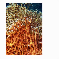 Fire Coral 1 Large Garden Flag (two Sides) by trendistuff