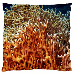 Fire Coral 1 Large Cushion Case (one Side) by trendistuff