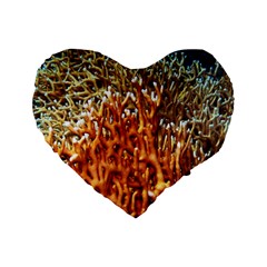 Fire Coral 1 Standard 16  Premium Flano Heart Shape Cushions by trendistuff