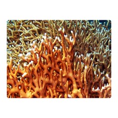 Fire Coral 1 Double Sided Flano Blanket (mini)  by trendistuff