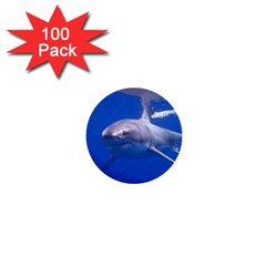 Great White Shark 4 1  Mini Buttons (100 Pack)  by trendistuff