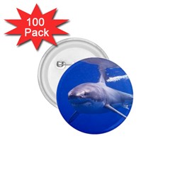 Great White Shark 4 1 75  Buttons (100 Pack)  by trendistuff