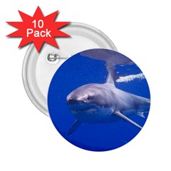 Great White Shark 4 2 25  Buttons (10 Pack)  by trendistuff