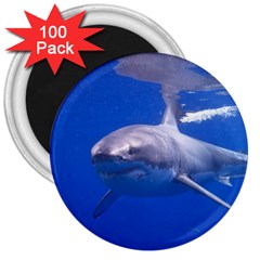 Great White Shark 4 3  Magnets (100 Pack) by trendistuff