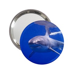 Great White Shark 4 2 25  Handbag Mirrors by trendistuff