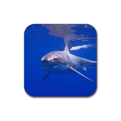 Great White Shark 4 Rubber Coaster (square)  by trendistuff