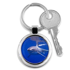 Great White Shark 4 Key Chains (round)  by trendistuff