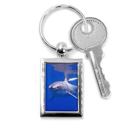 Great White Shark 4 Key Chains (rectangle)  by trendistuff