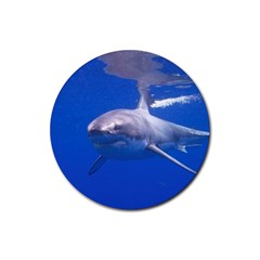 Great White Shark 4 Rubber Round Coaster (4 Pack)  by trendistuff