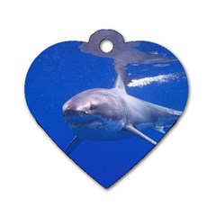 Great White Shark 4 Dog Tag Heart (two Sides) by trendistuff