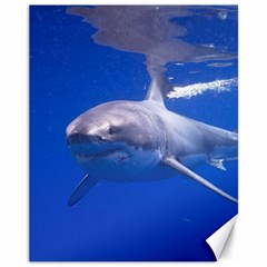 Great White Shark 4 Canvas 11  X 14   by trendistuff