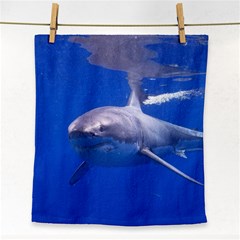 Great White Shark 4 Face Towel by trendistuff