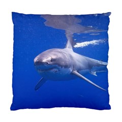 Great White Shark 4 Standard Cushion Case (two Sides) by trendistuff